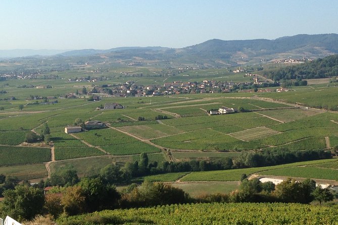 Beaujolais Crus Wines & Castles (2:00 pm - 6:30 pm) - Small Group Tour from Lyon - What to Buy, What to Skip, and How to End With Bottles You’ll Drink