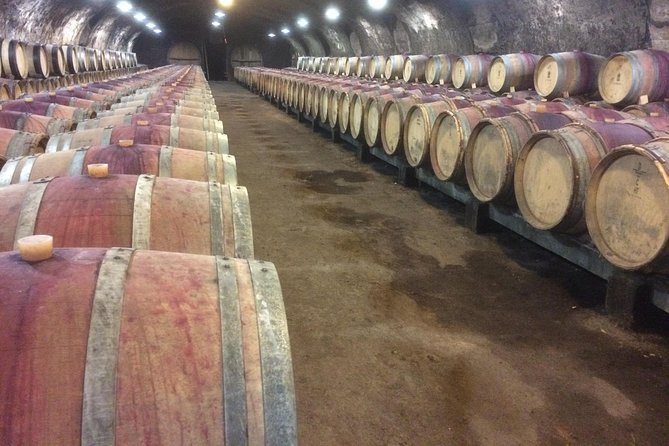 Beaujolais Crus Wines & Castles (9:00 am - 1:30 pm) - Small Group Tour from Lyon - Mont Brouilly and a family winery