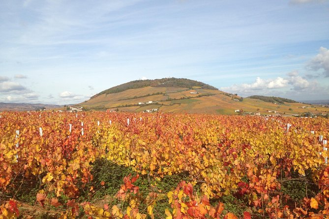 Beaujolais Crus Wines & Castles (9:00 am - 1:30 pm) - Small Group Tour from Lyon - The value of $131.35 for a half-day