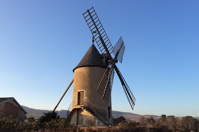 Beaujolais Crus Wines & Castles (9:00 am - 1:30 pm) - Small Group Tour from Lyon - Who should book this experience
