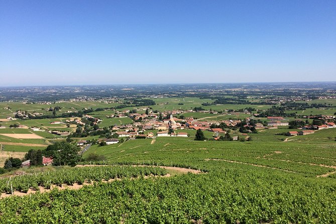 Beaujolais Crus Wines & Castles (9:00 am - 1:30 pm) - Small Group Tour from Lyon - Chénas and the château cellar