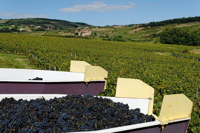 Beaujolais & Perouges Medieval Town (9:00 am to 5:15 pm - Small Group Tour Lyon - Lunch in Theizé: regional food, translated and explained