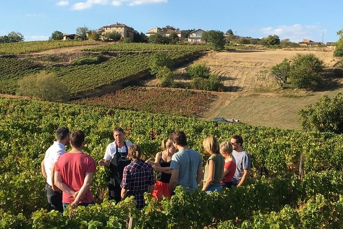 Beaujolais & Perouges Medieval Town - Private Tour - Full Day from Lyon - Key points at a glance