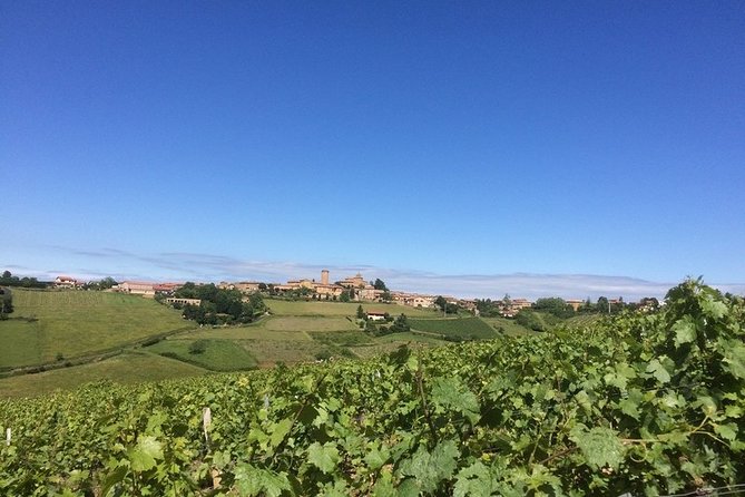 Beaujolais & Perouges Medieval Town - Private Tour - Full Day from Lyon - What the price means for your group