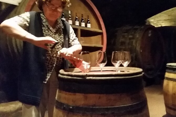 Beaujolais Region Wine Tasting Private Day Tour from Lyon - Leaving Lyon for the Beaujolais hills