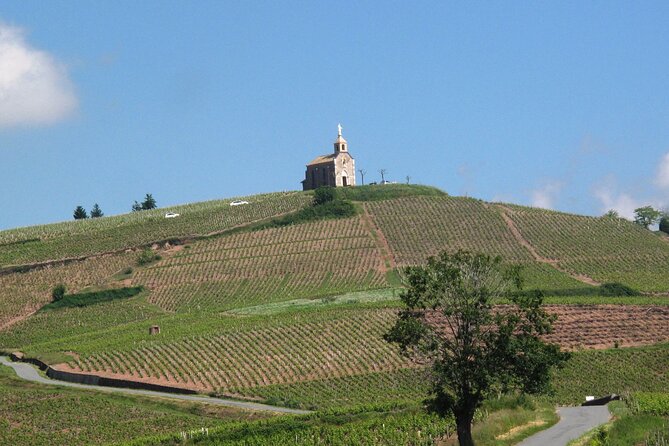 Beaujolais Region Wine Tasting Private Day Tour from Lyon - Fleury, a second view of Beaujolais