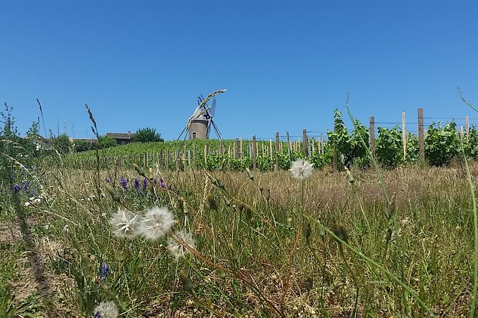 Beaujolais Region Wine Tasting Private Day Tour from Lyon - The lunch question during a nine-hour outing