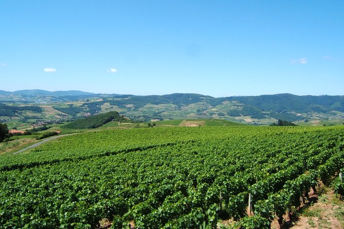 Beaujolais Wine Discovery - Half Day - Small group tour from Lyon - Start in Lyon: Bellecour meeting point and an 8-seat ride