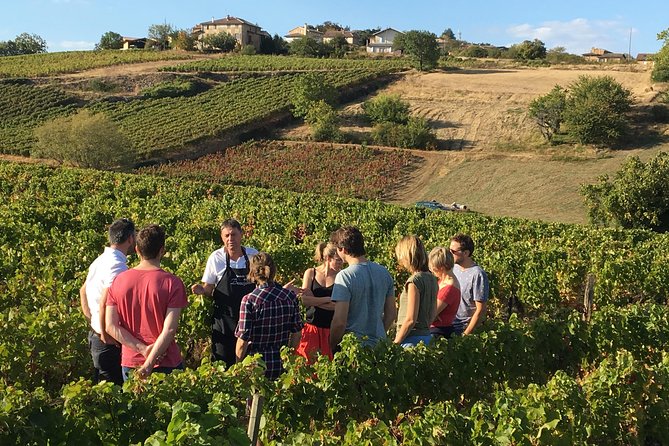 Beaujolais Wine Discovery - Half Day - Small group tour from Lyon - Moire winery: semi-carbonic maceration and a red Beaujolais tasting
