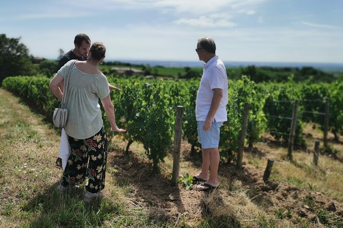 Beaujolais wine tour from Lyon half day - The Guide Factor: Small-Group Hosts Who Make It Click