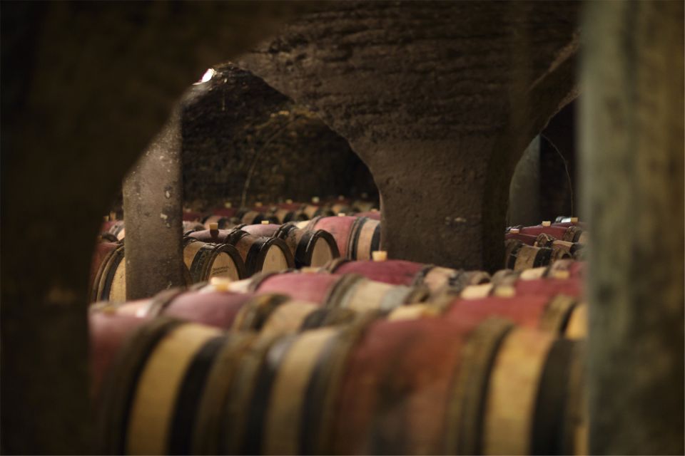 Beaune: Maison Champy Guided Cellar Tour with Wine Tasting - Price and value: why $29 feels fair here