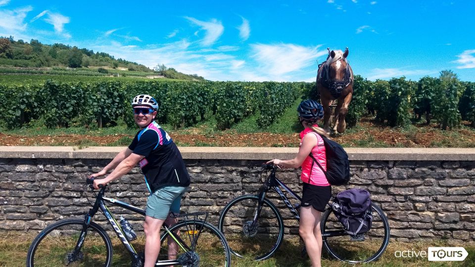Beaune: Winery Tour by Bike with Wine Tasting - Pedaling Côte de Beaune: the ride is mostly easy, with one real-world test