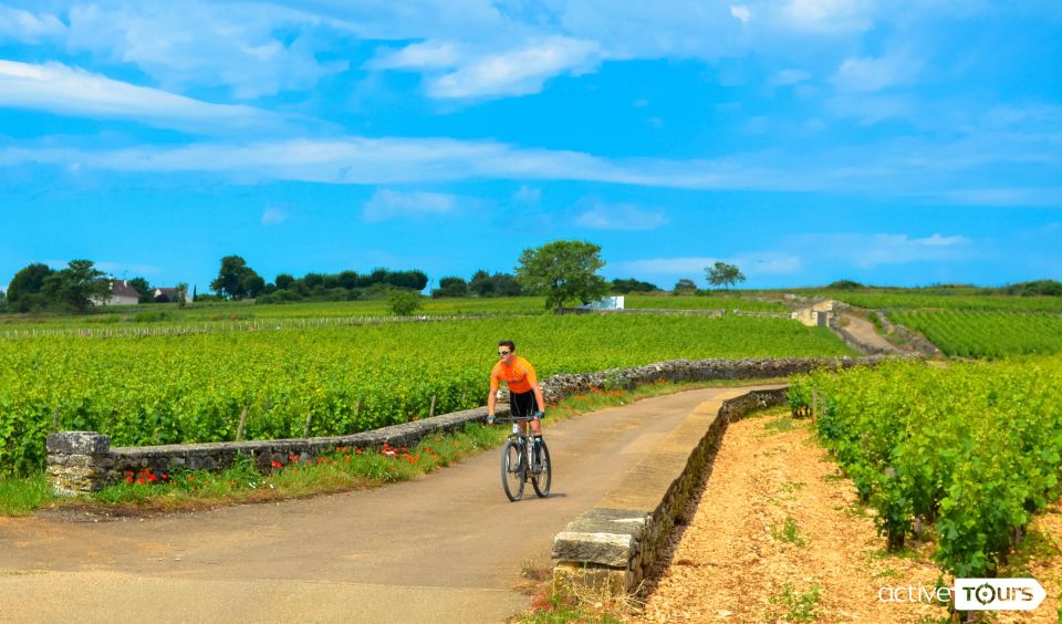Beaune: Winery Tour by Bike with Wine Tasting - Meeting point at Bourgogne Evasion: get your helmet fit before you roll