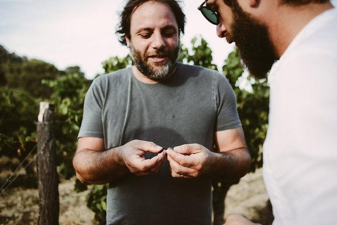 Bertrand Bosc wine and food tour in Pic St Loup - Key highlights for this Pic St-Loup wine tour