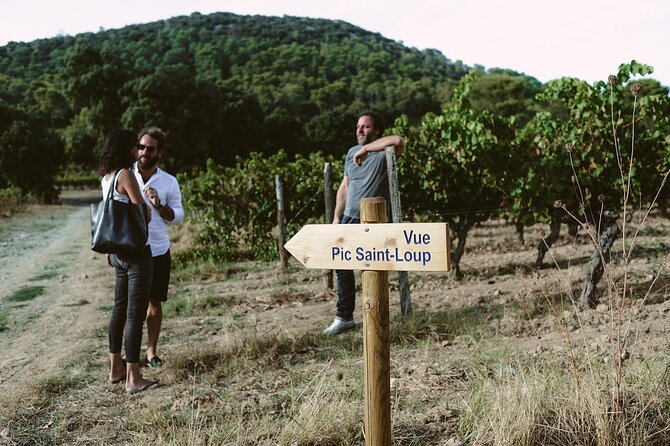 Bertrand Bosc wine and food tour in Pic St Loup - Pic St-Loup and the family-house lunch (the part people remember)