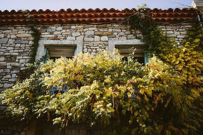 Bertrand Bosc wine and food tour in Pic St Loup - Maison des Consuls and a medieval village stroll that fits the day