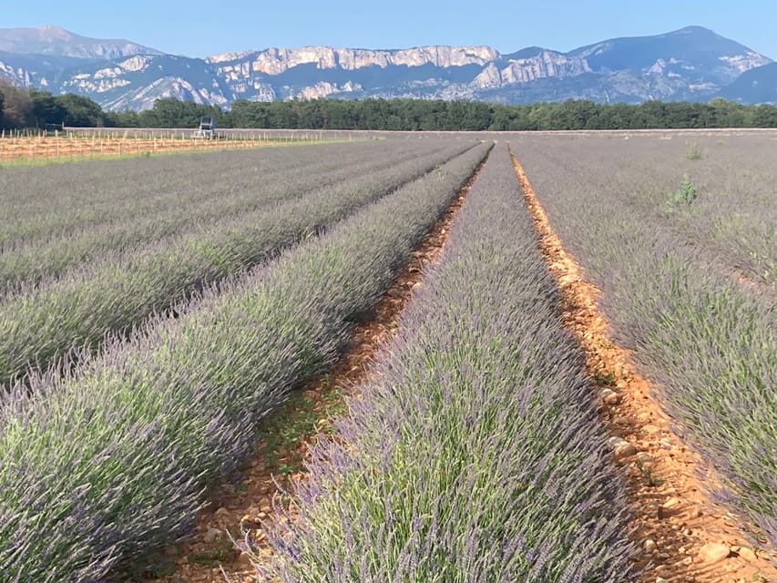 Bespoke Luxury Sightseeing Experiences - Extra choices for active and relaxed days