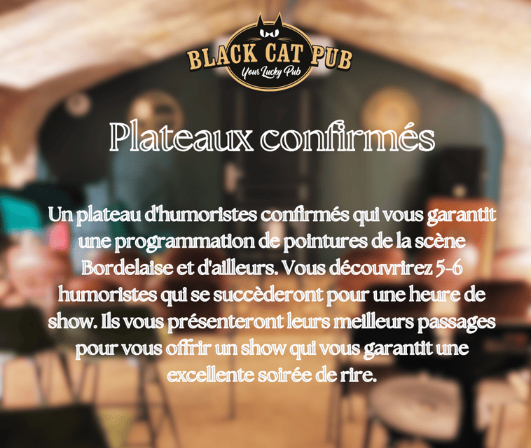 Black Cat Comedy Club - Black Cat Comedy Club in Bordeaux: what the $4.24 ticket really gets you
