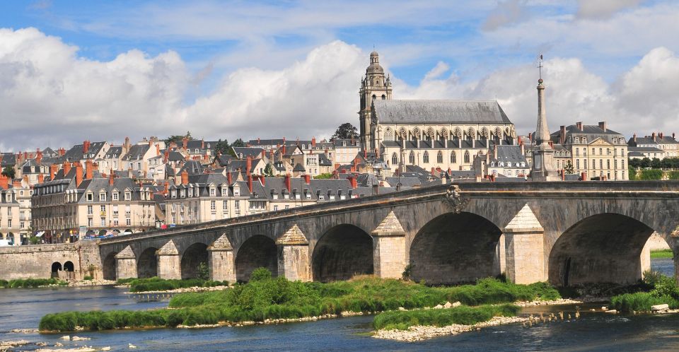 Blois: Private Tour of Blois Castle with Entry Tickets - The royal apartments and Renaissance furnishings