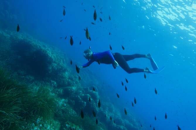 Boat trip and snorkeling in Villefranche - sur - Mer - Cape Nice and Cape Ferrat: Why the Boat Makes the Snorkel Better