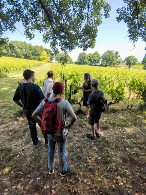 Bordeaux by Gravel Bike : Historic center & vineyards - Why this Bordeaux bike tour works so well