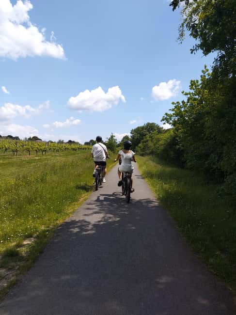 Bordeaux by Gravel Bike : Historic center & vineyards - Returning by old railway path and river
