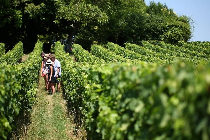 Bordeaux Full day Medoc and St Emilion 3 chateaux with Lunch - Château Côte de Baleau: garden picnic lunch plus more wine