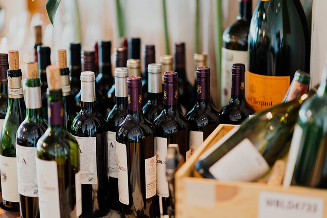 Bordeaux Gourmet Experience : tasting of French cheeses & wines - The host experience: host-led, question-friendly, and not just a script