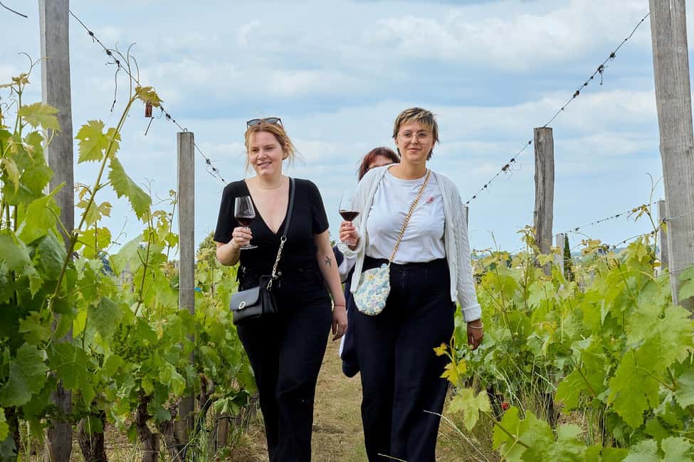 Bordeaux: Half-Day Margaux Tour with Wine Tastings - 5th Grand Cru Classé Château Visit: Architecture and a 2-Wine Finish