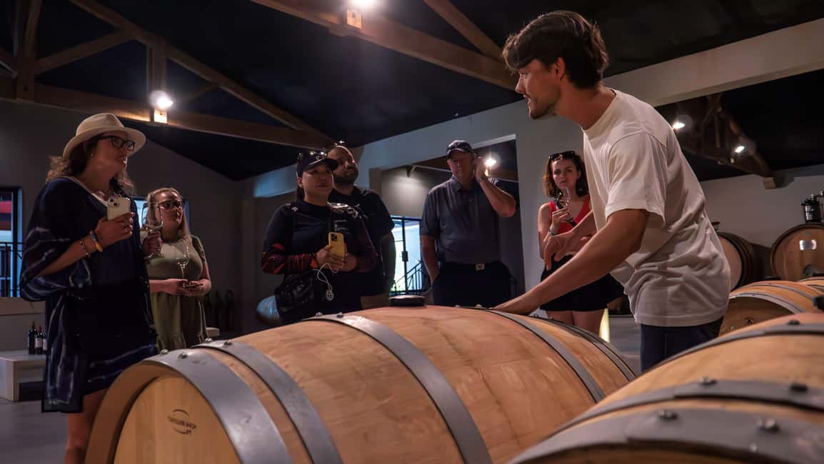 Bordeaux: Half-Day Margaux Tour with Wine Tastings - From Bordeaux to the Médoc: Meeting Point and Minivan Comfort