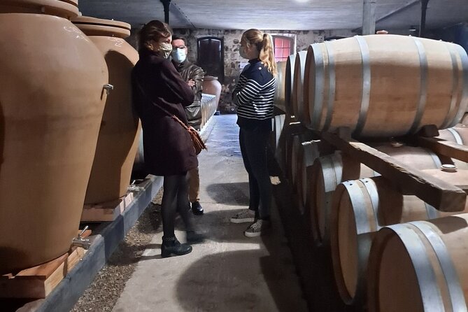 Bordeaux Médoc Region Private Wine Lovers Tour with Chateau Visits & Tastings - Lunch Around 25€: Plan It Like Part of the Experience