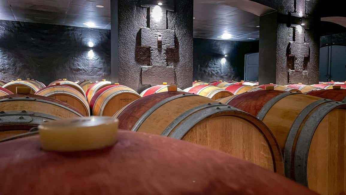 Bordeaux: Saint-Emilion and Medoc Full-Day Wine Experience - Key highlights worth marking