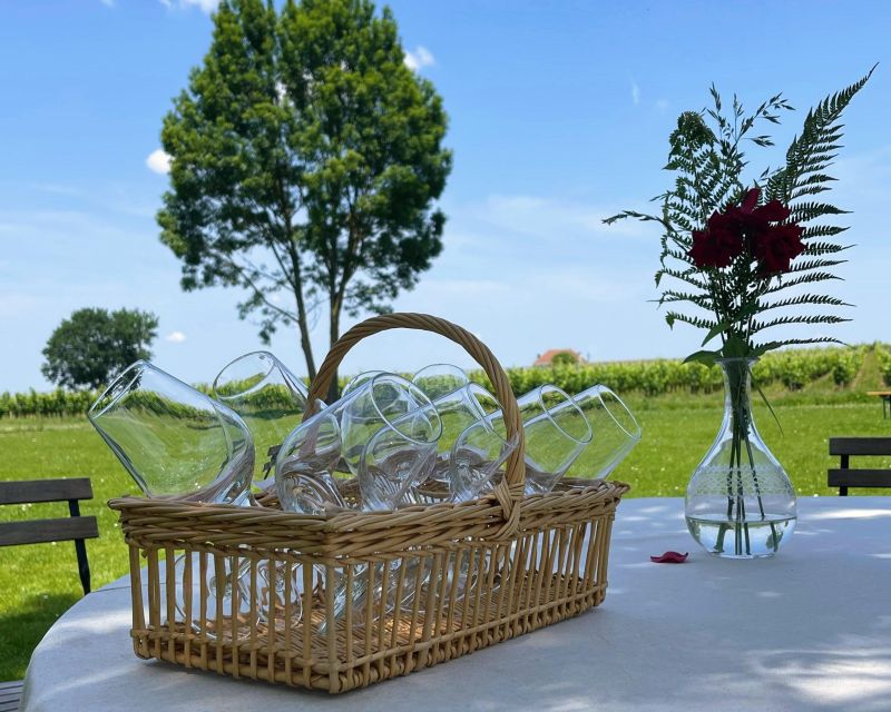 Bordeaux: Saint-Emilion Village Day Trip, 2 Chateaux & Lunch - Key highlights worth getting excited about