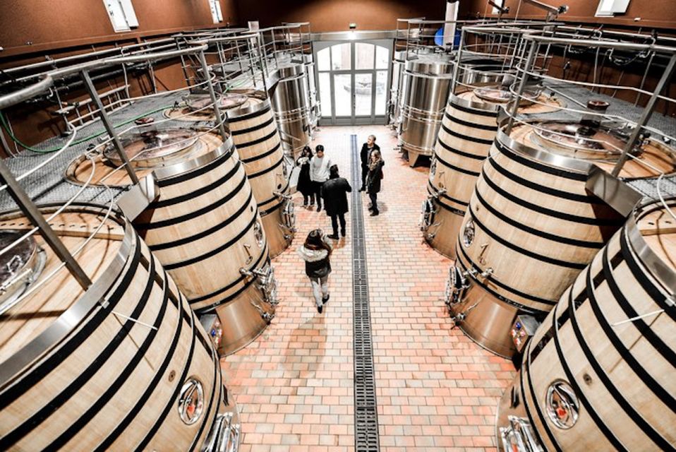 Bordeaux: St-Emilion and Medoc Wine Day Tour with Lunch - Key highlights at a glance