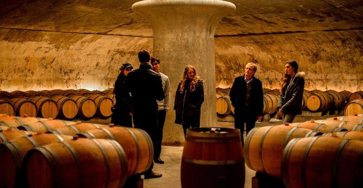Bordeaux: St-Emilion and Medoc Wine Day Tour with Lunch - Entering Bordeaux wine country: what makes this day special