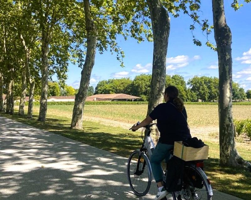 Bordeaux: St-Emilion Vineyards e-Bike Tour with Wine & Lunch - Price and value: why $222 can make sense here