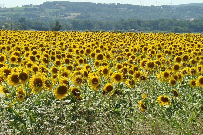 Bordeaux to Dordogne - Private Tour: Fortified Castles and Medieval Villages - What the Private Vehicle Adds to the Day