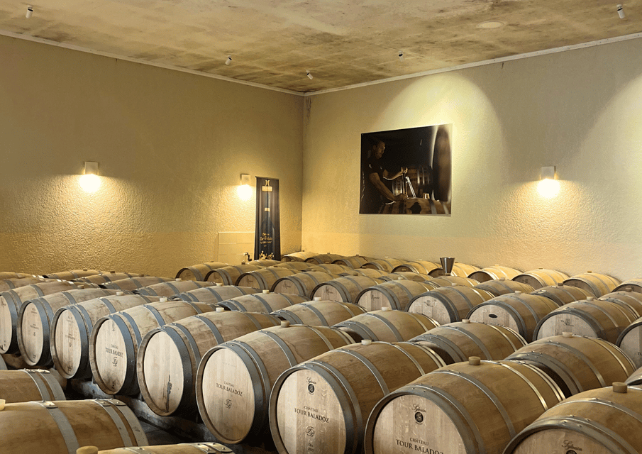 Bordeaux : Unforgettable Saint Emilion Half Day Wine Tour - Key things I’d plan around before you go