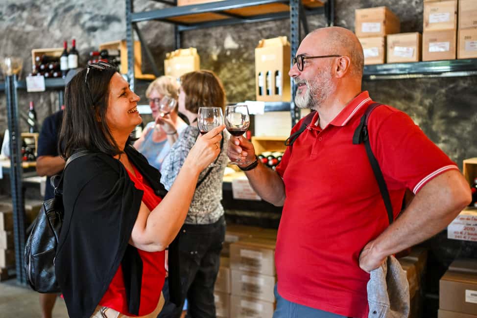 Bordeaux: Vineyards Wine Tasting Half-Day Trip - Friday Blaye and the Citadel: A UNESCO Break From Wine Rooms