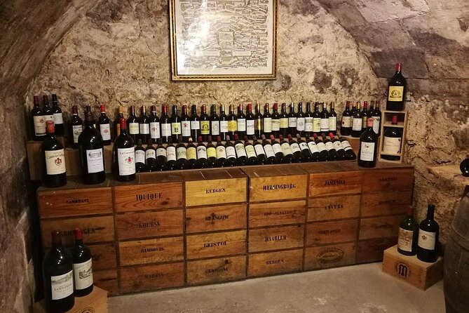 Bordeaux Wine and Trade Museum Admission Ticket with Wine Tasting - Wine tasting at the end: two wines, real grape learning