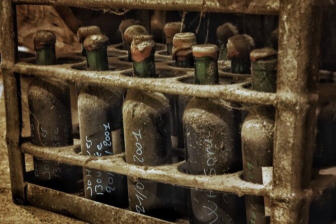 Bordeaux Wine and Trade Museum Admission Ticket with Wine Tasting - Self-guided museum with staff help: a smart way to do it