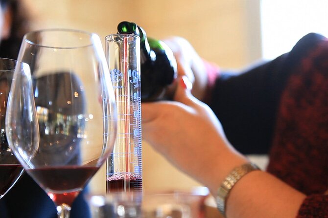 Bordeaux Wine Masterclass: Blending workshop with appetizer - The Diploma Moment and Why It’s Not Just Paper
