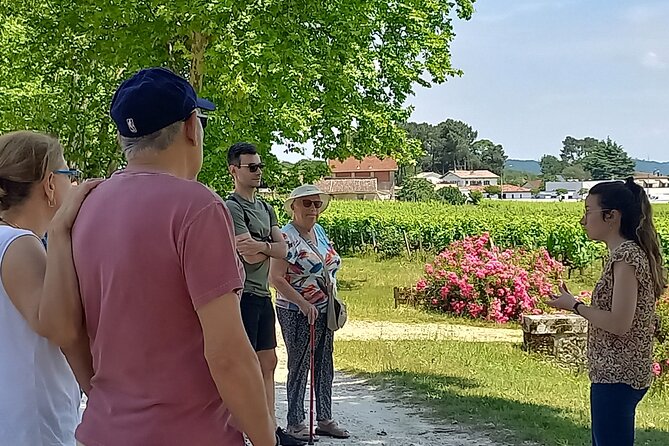 Bordeaux wine tour off the beaten path (red & white wines) - From the Cité du Vin to Bordeaux’s vineyard country