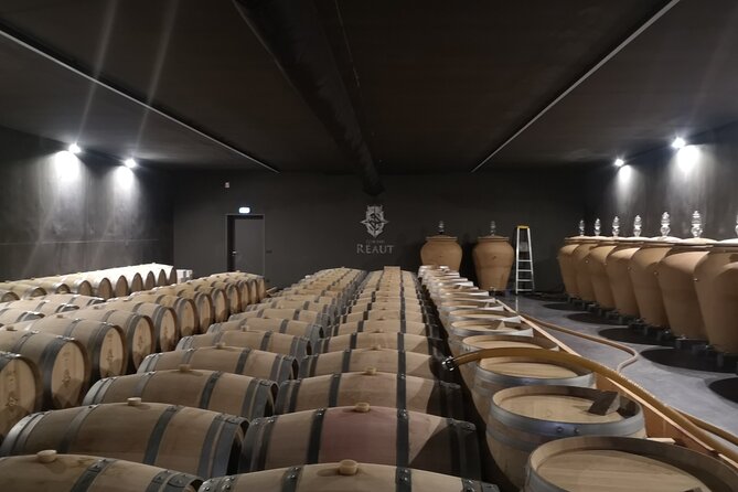 Bordeaux wine tour off the beaten path (red & white wines) - Why the red and white wine mix matters