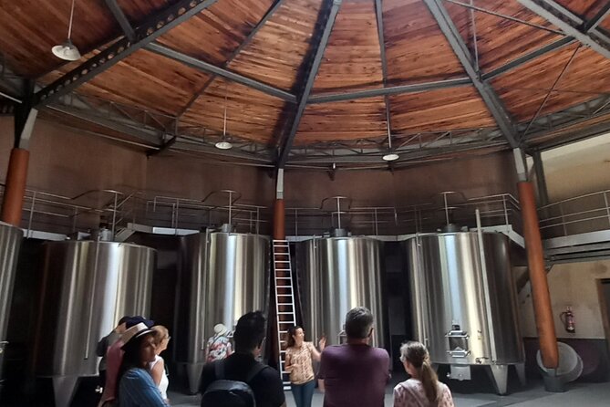 Bordeaux wine tour off the beaten path (red & white wines) - Timing, weather, and the return to Bordeaux