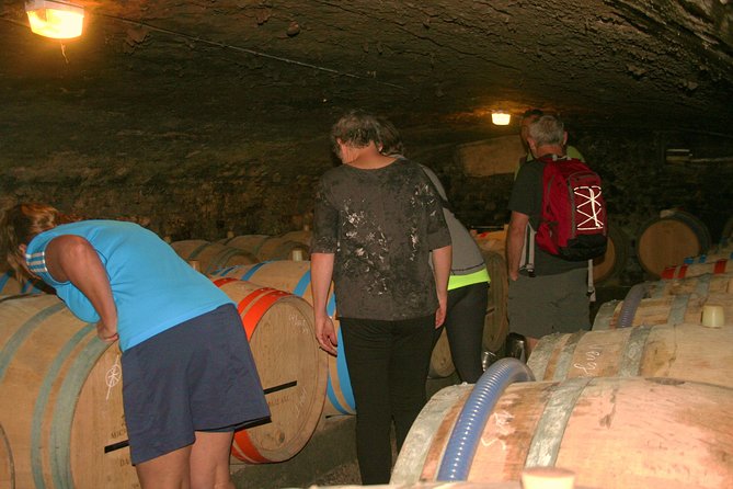 Burgundy Bike Tour with Wine Tasting from Beaune - Key things to know before you pedal