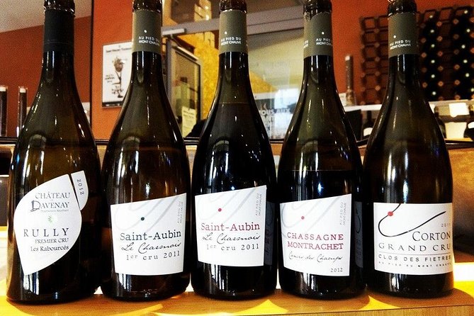 Burgundy Bike Tour with Wine Tasting from Beaune - Château de La Rochepot: the quick photo moment that sets the tone