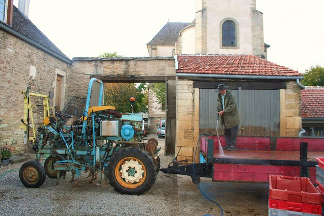 Burgundy Bike Tour with Wine Tasting from Beaune - The mid-ride lunch stop: Puligny-Montrachet timing and food
