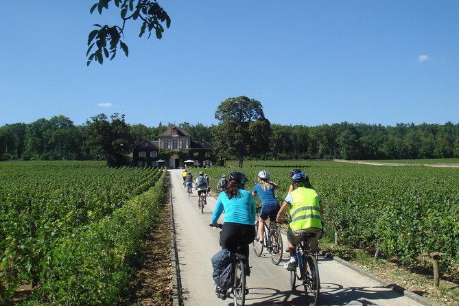 Burgundy Bike Tour with Wine Tasting from Beaune - The afternoon winery: tasting around Pommard, Volnay, or Meursault