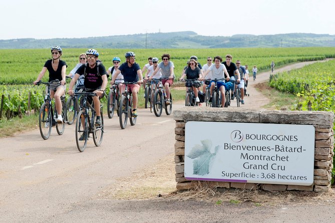 Burgundy Bike Tour with Wine Tasting from Beaune - Who this tour is best for (and who should think twice)